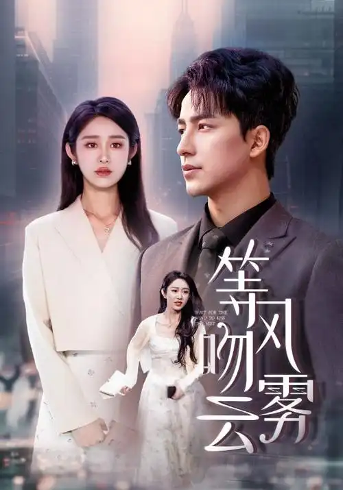 第九个证人 刑侦电视剧全集免费在线观看